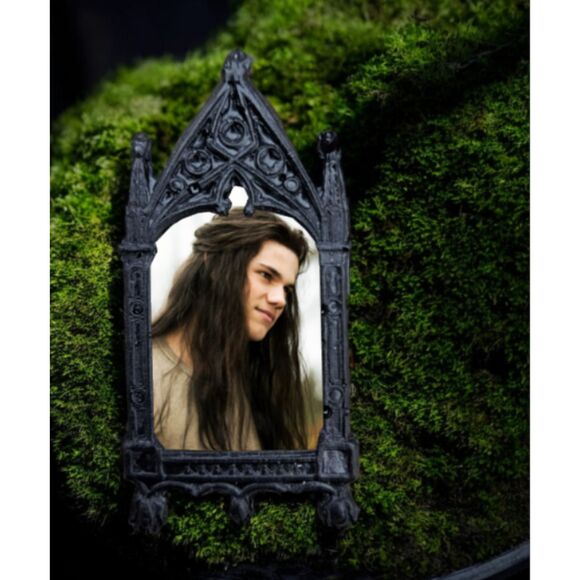 Jacob Black Magnet Werewolf Twilight Fandom Refrigeration Decoration Eclipse - Picture 1 of 3